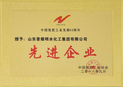 中国氮肥工业发展60周年先进企业